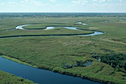 Okavango Pfannenstiel