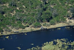 Luftbild Elefanten am Chobe Fluss