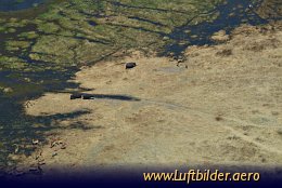 Luftbild Hippos und Impalas