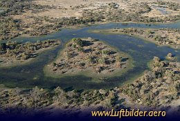 Luftbild Giraffen im Okavango Delta