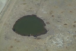 Luftbild Giraffen am Wasserloch im Etosha-Park